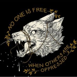 Meet your Posher, Cameron